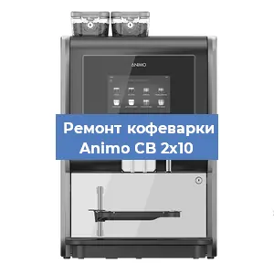 Чистка кофемашины Animo CB 2x10 от накипи в Новосибирске